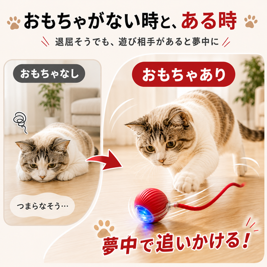 自動じゃらしボール|留守中も遊べる充電式おもちゃ