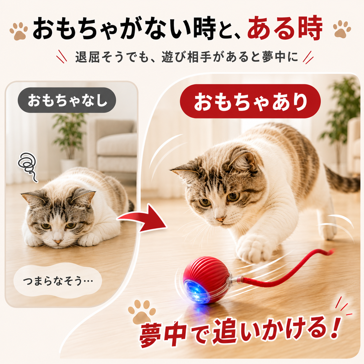 自動じゃらしボール｜留守中も遊べる充電式おもちゃ