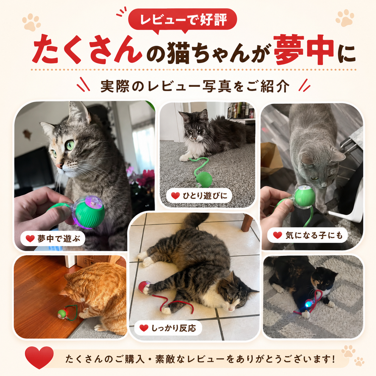自動じゃらしボール｜留守中も遊べる充電式おもちゃ