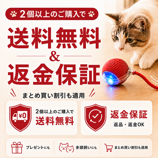 自動じゃらしボール｜留守中も遊べる充電式おもちゃ