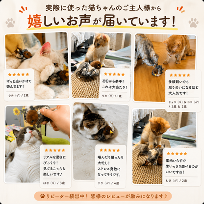 自動羽ばたき鳥おもちゃ｜猫が虜になるマタタビ付き